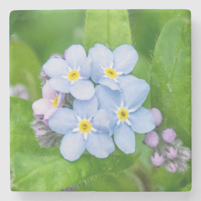 Esqueça-me, não, Porta copos de pedra (Frente)