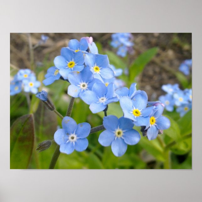 Esquece-me de não ser Poster (Frente)