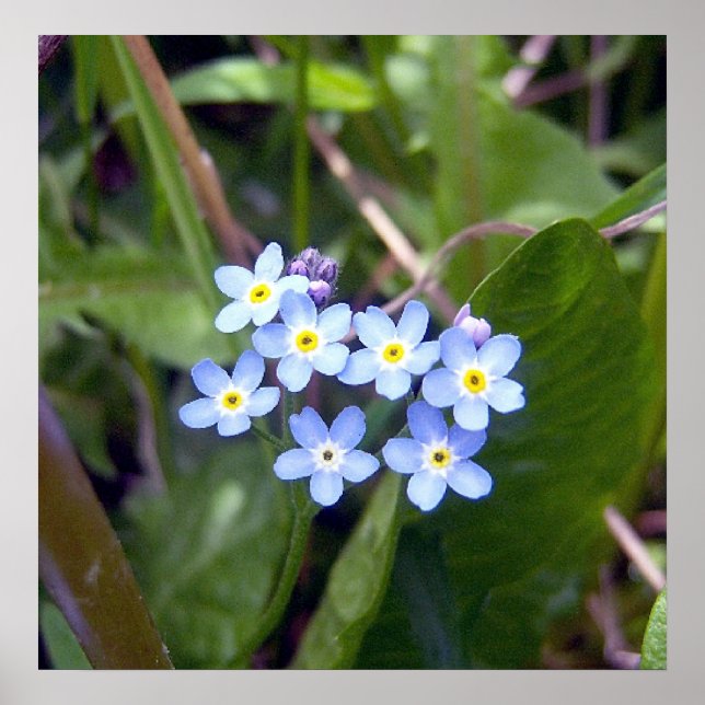 Esquece os Números 2 Poster (Frente)