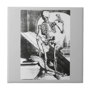 Esqueleto da Anatomia Humani Corporis