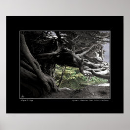 Esqueleto de Cypress - Poster