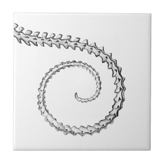 Esqueleto de lagarto Vintage