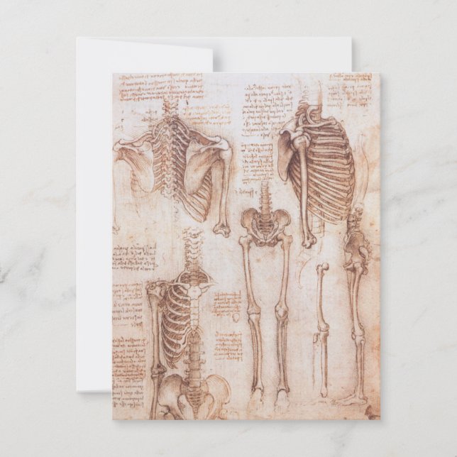 Esqueleto de Ossos da Anatomia Humana de Leonardo  (Frente)
