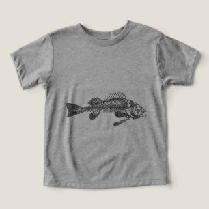 Esqueleto de peixe