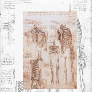 Esqueletos humanos da anatomia por Leonardo da