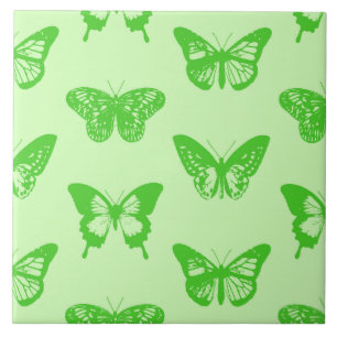 Esquema da borboleta, verde limão