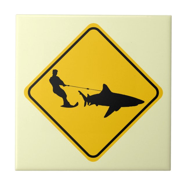 Esqui do tubarão (Frente)