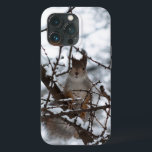 Esquilo<br><div class="desc">Esquilo</div>