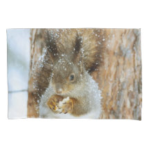 Esquilo bonito numa paisagem de inverno