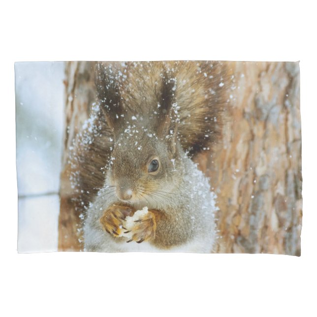 Esquilo bonito numa paisagem de inverno (Frente)