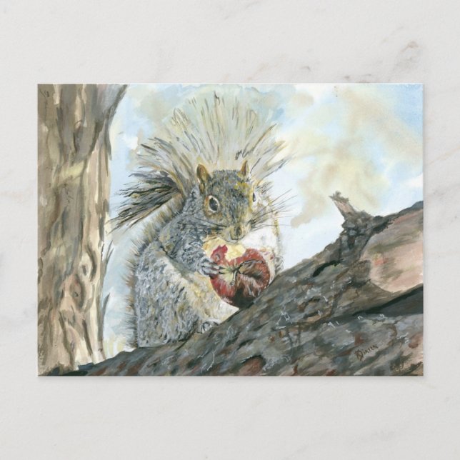 Esquilo com cartão postal de maçã (Frente)