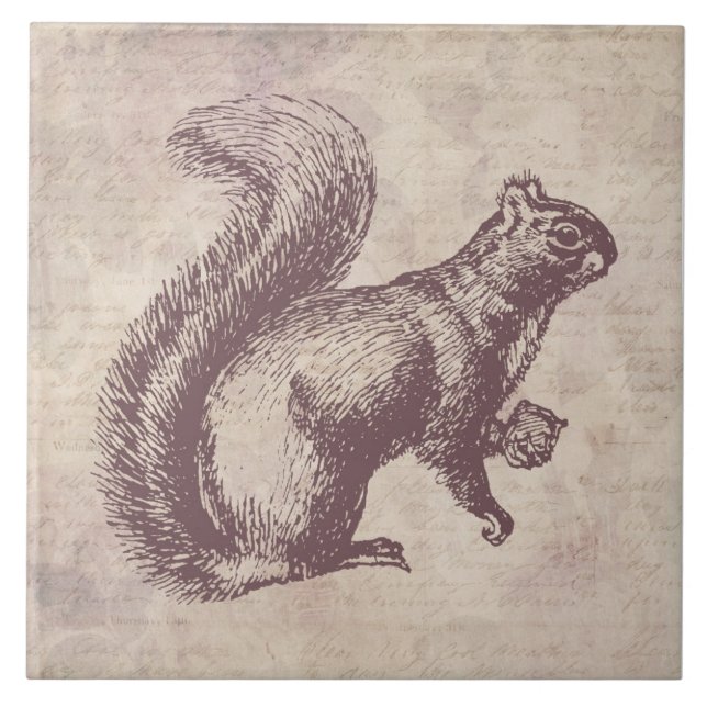 Esquilo com Estilo de Script Floral de Arte Nut Vi (Frente)