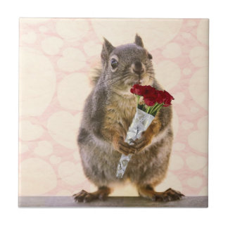 Esquilo com o buquê das rosas vermelhas
