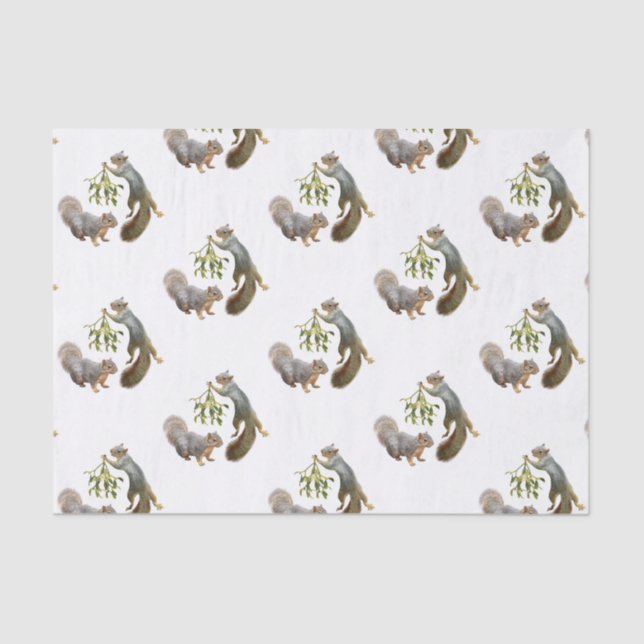 Esquilo com Papel de Tecido Misturado (Frente )