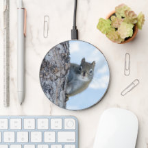 Esquilo curioso, fotografia animal canadense