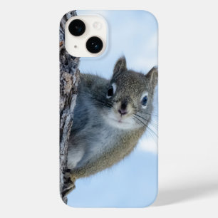Esquilo curioso, fotografia canadense de vida selv