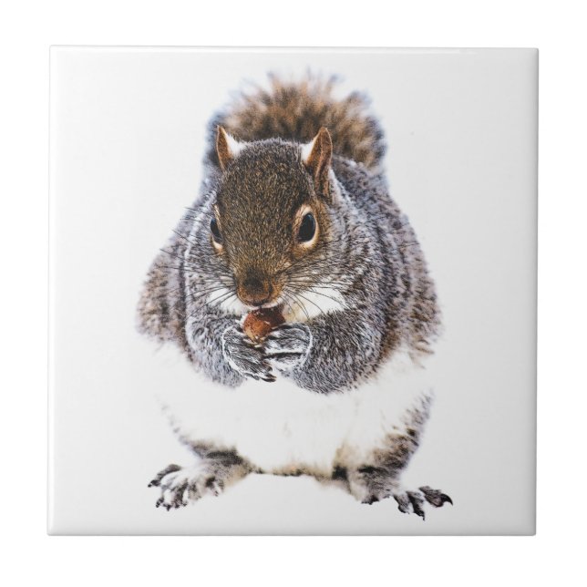 Esquilo de Comida (Frente)