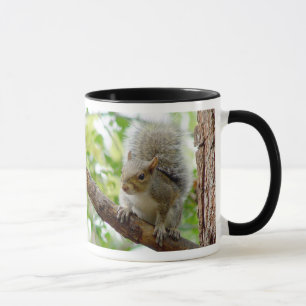 Esquilo em uma caneca do animal do ramo