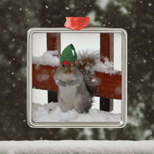 Esquilo Jaunty com Enfeites de natal Elf Hat