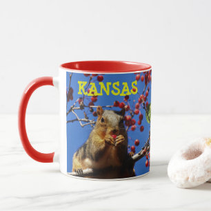 Esquilo Kansas comendo uma caneca vermelha de café
