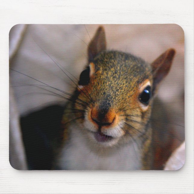 Esquilo Mousepad (Frente)