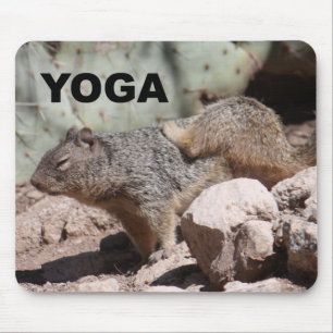 Esquilo Mousepad da ioga
