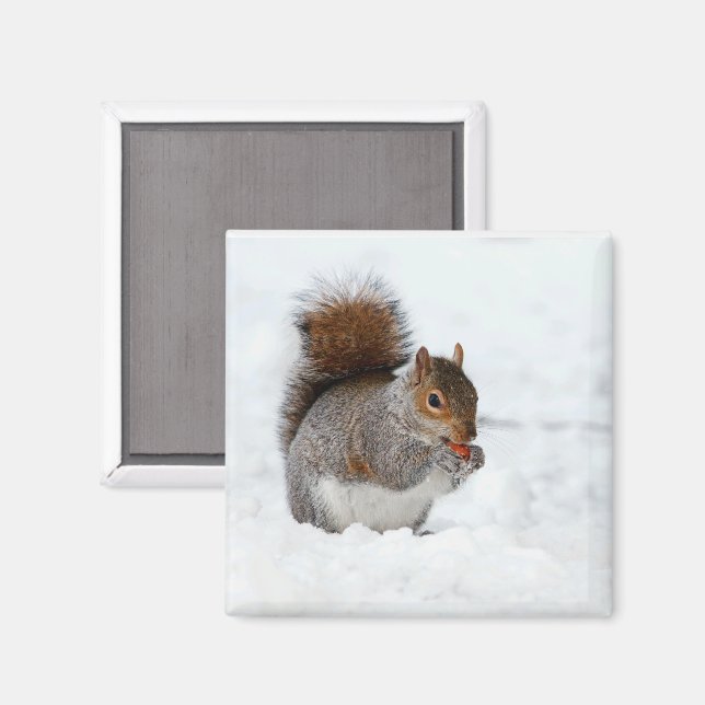 Esquilo na neve com imã de berry (Front/Back)