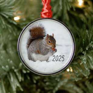 Esquilo na neve com ornamento de Berry