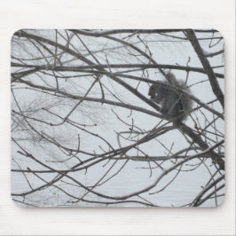 Esquilo no Mousepad de Neve