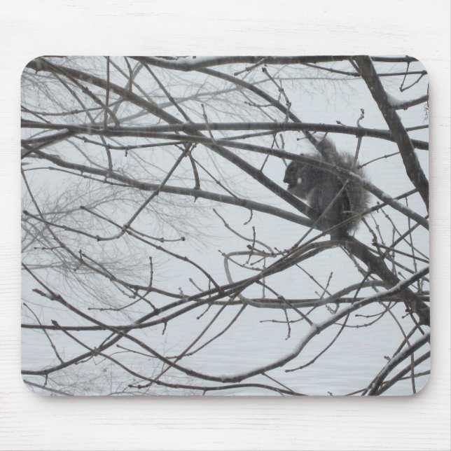 Esquilo no Mousepad de Neve (Frente)