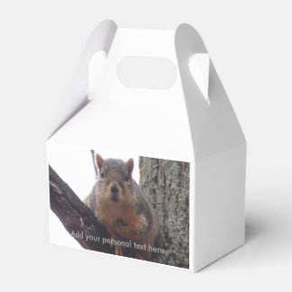 Esquilo olhando sua caixa de presentes