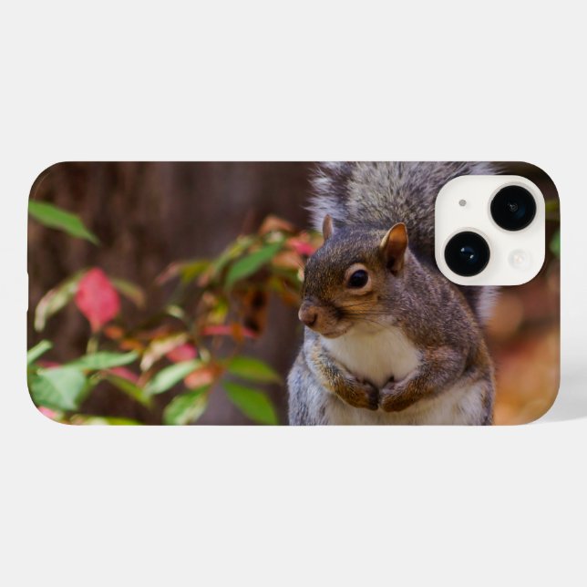 Esquilo Patientemente Inicia capas de iphone (Verso (horizontal))