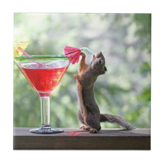 Esquilo que bebe um cocktail no happy hour