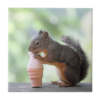 Esquilo que come um cone do sorvete