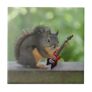 Esquilo que joga a guitarra elétrica