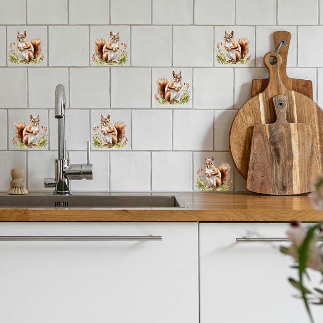 Esquilo vermelho americano (Criador carregado)