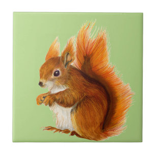 Esquilo vermelho pintado na arte dos animais