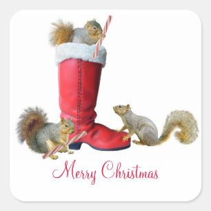Esquilos no Boot de Papai Noel Adesivos
