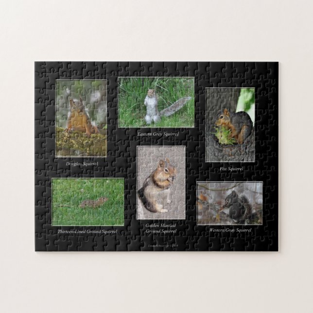 Esquilos! Quebra-Cabeça (Horizontal)