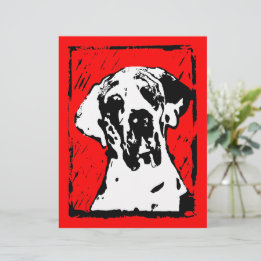 Esra Harlekin Dogue Alemão