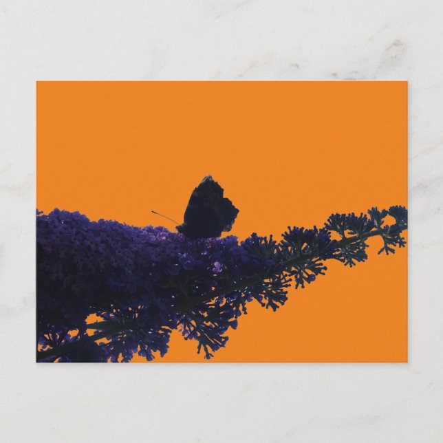 Esta borboleta na borboleta Bush DIY Cartão postal (Frente)
