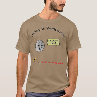 Esta é camisa de quarta-feira