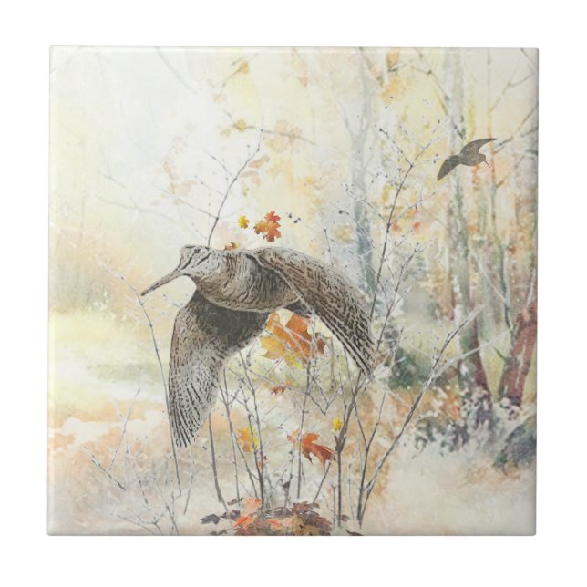 Estação de Caça Woodcock (Frente)