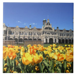 Estação Ferroviária de Dunedin