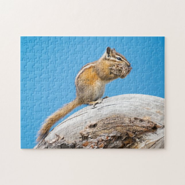 Estacionando para quebra-cabeça de serra de invern (Horizontal)