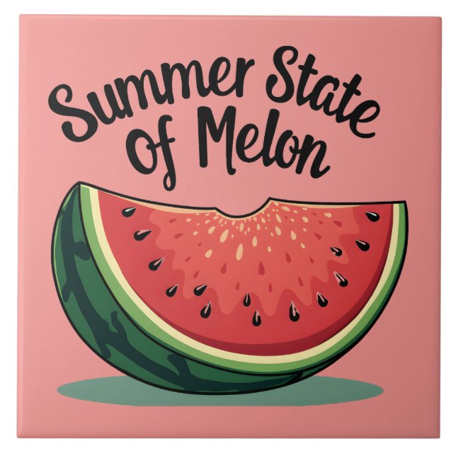 Estado de Verão da Arte Retrorística de Melon (Frente)