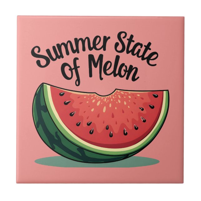 Estado de Verão da Arte Retrorística de Melon (Frente)