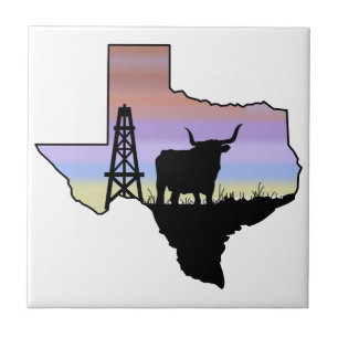 Estado do Texas