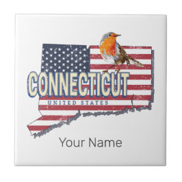 Estado unido do Connecticut mapeamento de estado r