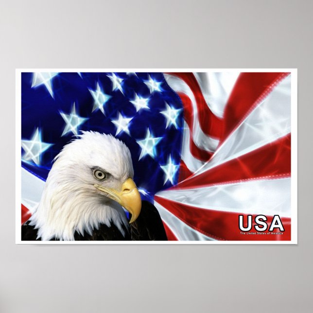 Estados Unidos da América Bald Eagle Flag Poster (Frente)
